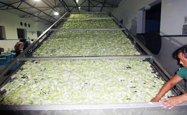 果脯烘干機(jī)