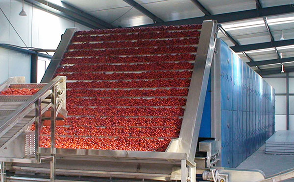 羅漢果烘干機(jī) 羅漢果烘干機(jī)